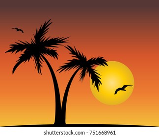 sunset with palms sun and seagulls vector illustration 