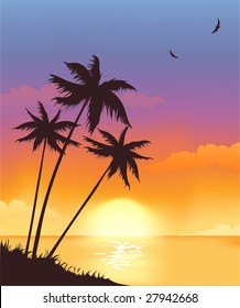 Sunset with palmtrees