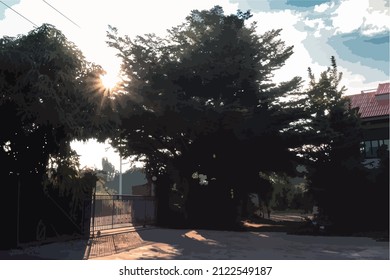 puesta de sol en el parque con fuga de luz a través de los árboles