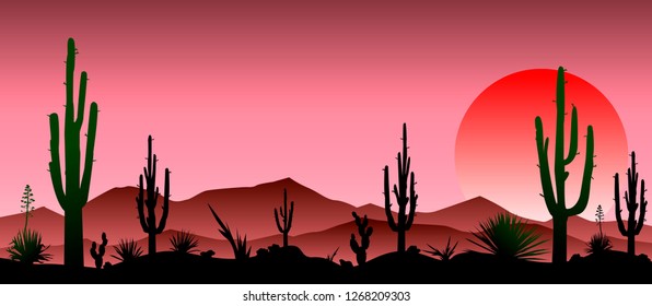 Sunset in the red stony desert.  Silhouettes of stones, cacti and plants. Desert landscape with cacti. The stony desert.