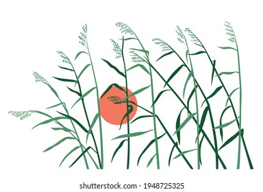 Sunset with reeds and wind. Vector graphics for greeting cards and design.