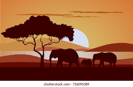 Sunset in the savanna a vector illustration.