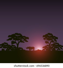Sunset scene african landscape with silhouette rhino and trees. Vector illustration