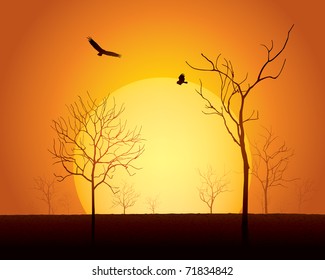 Sunset scene, dried trees on cracked land