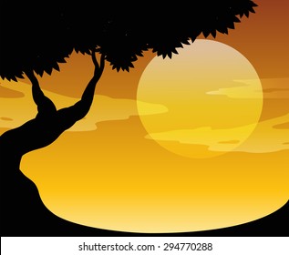 Sunset scene with silhouette tree and field