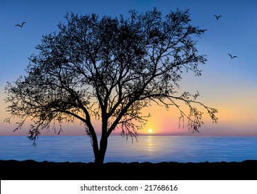 Sunset at the seaside with a Tree silhouette.