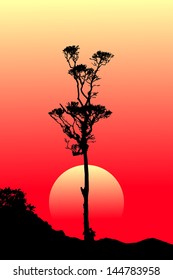 Sunset silhouette