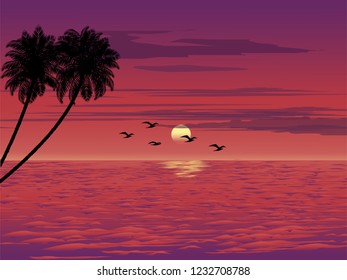 sunset silhouette with coconut trees