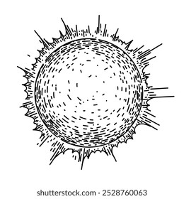 pôr do sol mão desenhada. raios de sol, estrela de energia, heliosphere fotossíntese pôr do sol esboço do vetor do sol. ilustração preta isolada