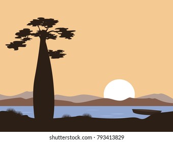 Sunset or sunrise in Africa. Baobab and the lake. Vector landscape. Illustration can be used in brochures, postcards, banner.