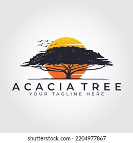 amanecer en el diseño del logo del bosque. diseño del logotipo del vector de árbol de acacia