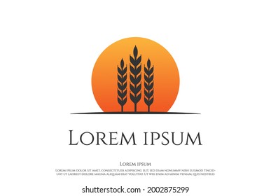 Sunset Sunrise Grain Wheat Rice Grass for Bakery or Brewery Logo Design Vector