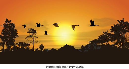 Sunset or sunrise nature landscape background vector illustration