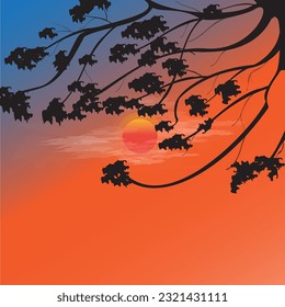 Sunset and tree background image