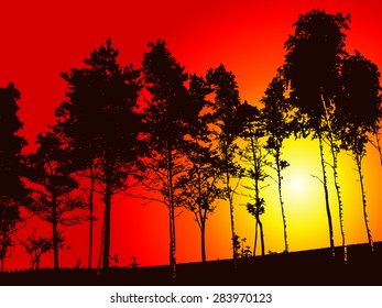 Sunset trees. Vector