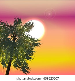 Sunset in the tropics. Sun through the leaves of a coconut palm. Sunny warm south rest. Vector landscape can be used in newsletter, brochures, postcards, banner.