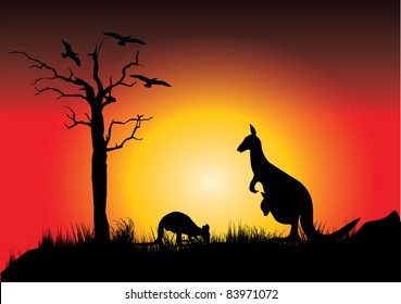 sunset with two kangaroos