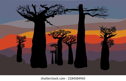 Sunset under Africa flat color vector illustration. Peaceful place with big Baobab trees. Beautiful nature with cartoon landscape with big mountains on background