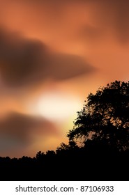 Sunset vector