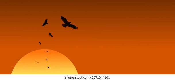 Sunset with vector silhouettes of flying birds - Eagle - Freedom in the sky