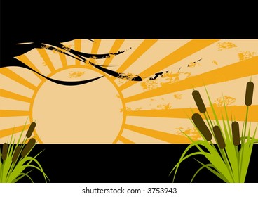 sunset vegetation
