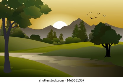 sunset view in countryside forest with path