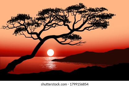 Sunset view with an old tree 