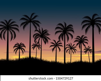 sunset view with several palm tree