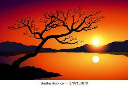Sunset view with tree silhouette at river