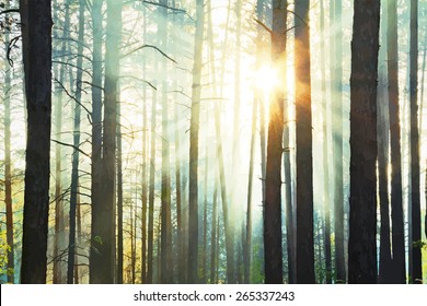 sunset in the woods, vector