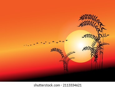 Sunset.3, the last light is disappearing, but the migration of birds is not over, until the mission is accomplished, dark gradation, vector illustration for advertising, make wallpaper, report cover.