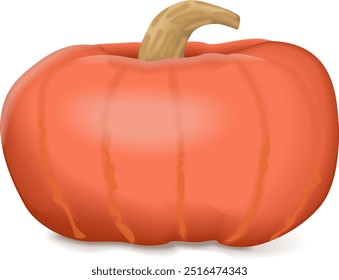 Sunshine kabocha squash. Winter squash. Cucurbita maxima. Fruits and vegetables. Isolated vector illustration.