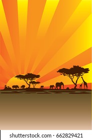 sunshine landscape africa