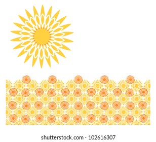 Flores de sol y verano