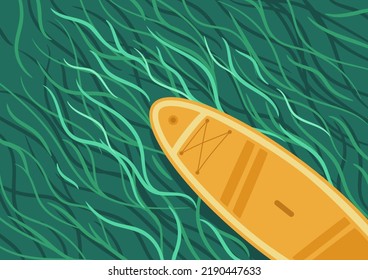 Sup board bottom on lake or river, green seaweed background. Vector illustration with water sport equipment. Paddleboard, summer activity.