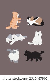 super cute cats collection meow