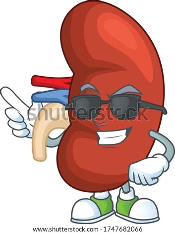 Super cute right human kidney cartoon character wearing black glasses