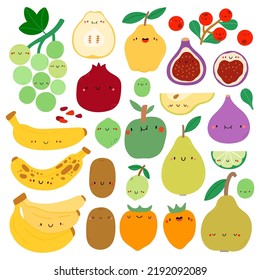 Super cute vector collection of hand drawn fruits. Seasonal fruits set. Autumn fruits characters - grape, quince, banana, kiwi, pear, fig, apple, persimmon, pomegranate, cranberries