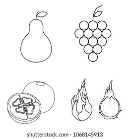 Super delicious fruit
