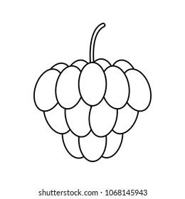 Super delicious fruit