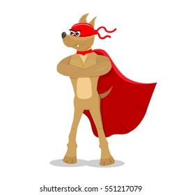 Super dog character
