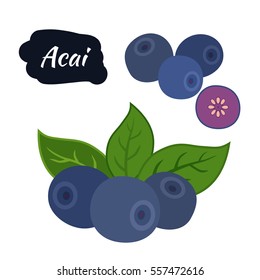 Super food acai berry. Exotic fresh amazon nutrition. Flat vector style.