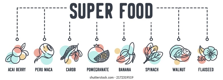 Super Food banner web icon. acai berry, peru maca, carob, pomegranate, banana, spinach, walnut, flaxseed vector illustration concept.