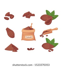 Super food cocoa beans. Pod, beans, cocoa butter, cocoa liquor and powder. Vector set isolated on white