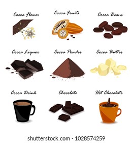 Super food cocoa collection. Pod, beans, cocoa butter, cocoa liquor, chocolate, cocoa drink and powder. Vector set.