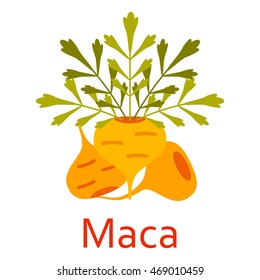 Super food icon. Maca. Vector illustration.