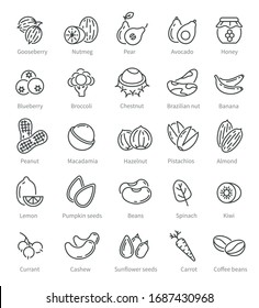 Super food icons. Berries nuts beans ingredients. Diet and detox healthy fruits. Organic selection supplements, vegan vector line symbols