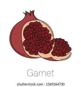 Super food  multi color icon in trendy flat style isolated on white background. Garnet symbol. 
Vector illustration