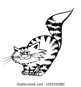 Super happy stripe cat. Sitting with big tail kitty. infantile outline sketch cat  for coloring book. Hand drawn cat for print. Doodle  cartoon smiling  tom cat for child room