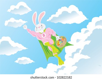 Super hero bunny